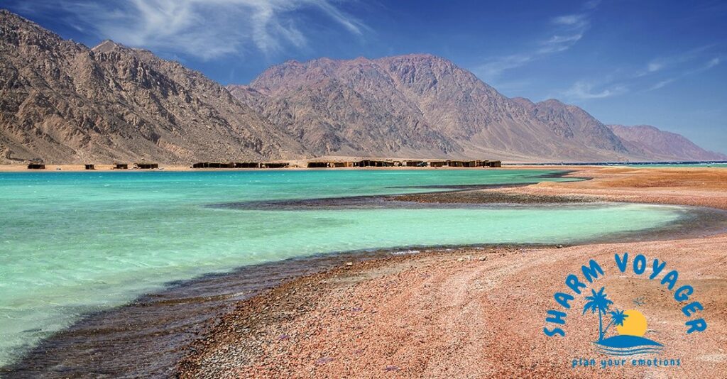 ESPLORA IL DESERTO DEL SINAI