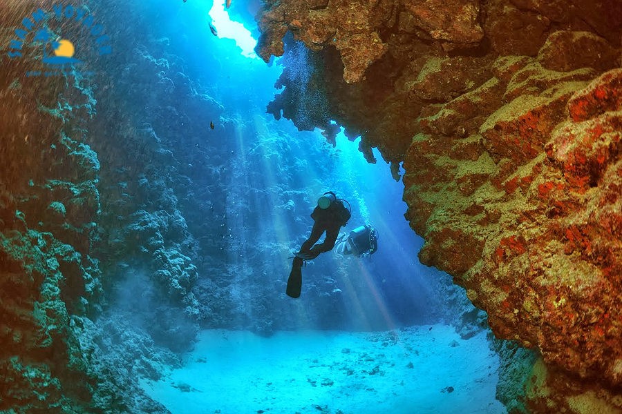 IMMERSIONI E SNORKELING NEL MAR ROSSO