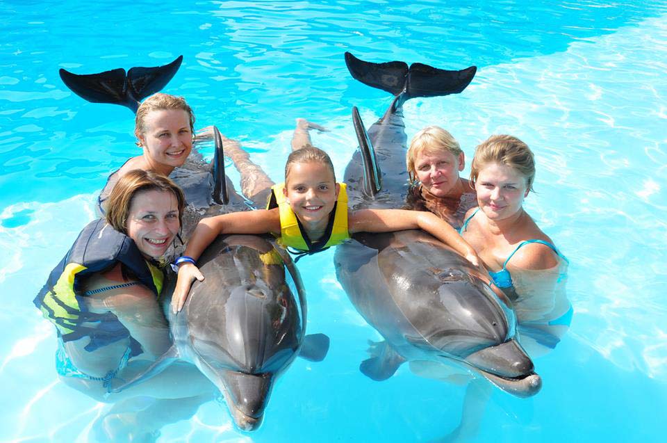 SHARM DOLPHINA PARK LO SPETTACOLO DEI DELFINI